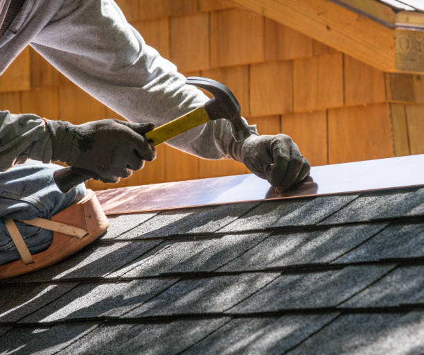 Best Roof Gutter Cleaning  in La Center, WA